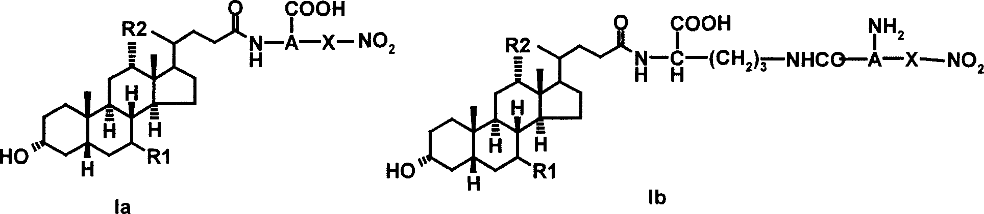 Bile acid derivative and pharmaceutical use thereof