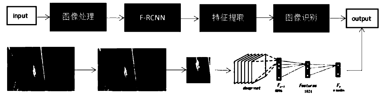 CNN and transfer learning-based disease intelligent identification method and system