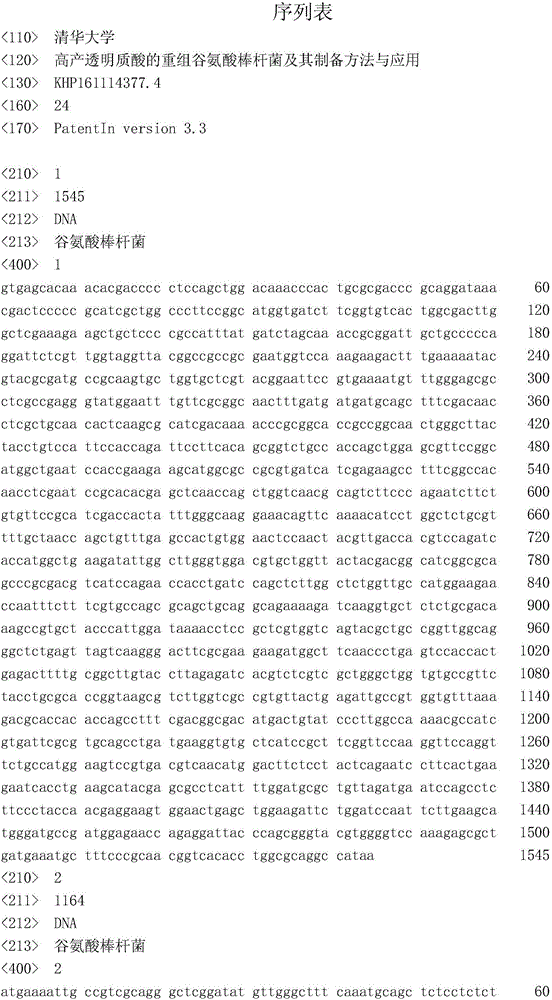 Recombinant Corynebacterium glutamicum high in hyaluronic acid yield and preparation method and application thereof