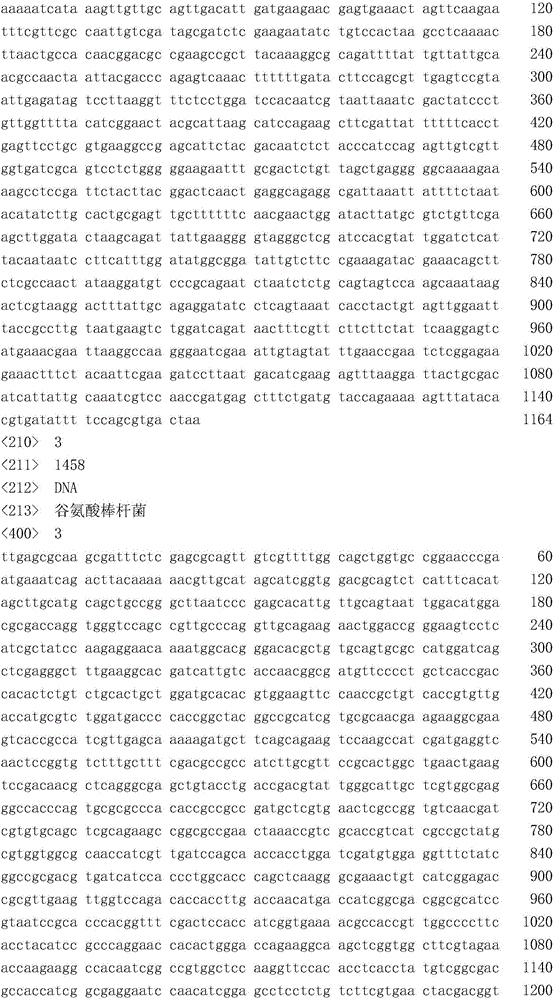 Recombinant Corynebacterium glutamicum high in hyaluronic acid yield and preparation method and application thereof