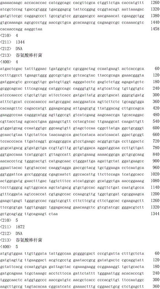 Recombinant Corynebacterium glutamicum high in hyaluronic acid yield and preparation method and application thereof