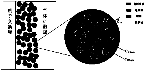 Establishment method for total-cell three-dimensional two-phase model of proton exchange membrane fuel cell