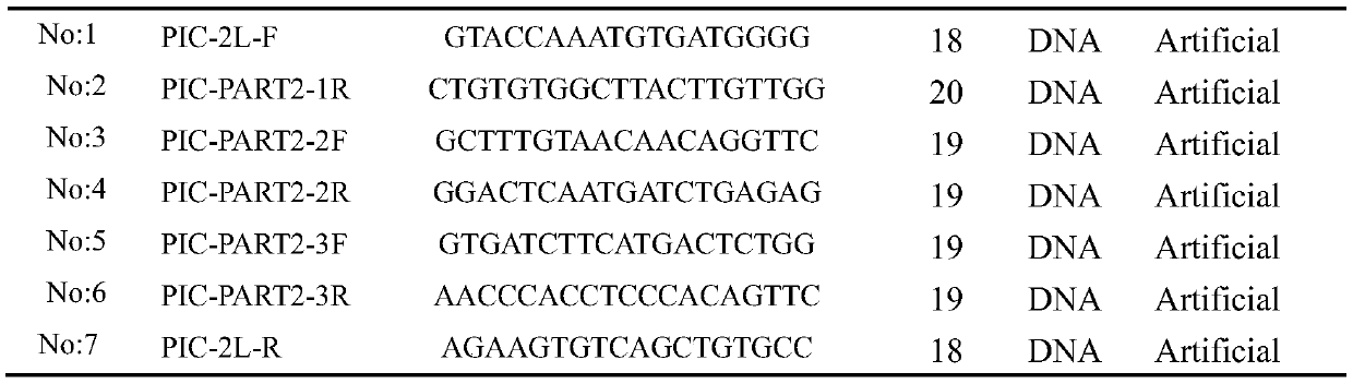 Primers and method for amplifying star-headed woodpecker magnetoreceptor protein gene isca1 fragment