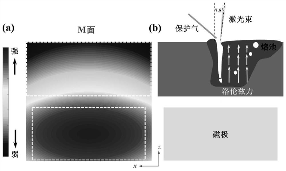 Alternating current magnetic field assisted laser deep penetration welding method for reducing aluminum alloy weld pores