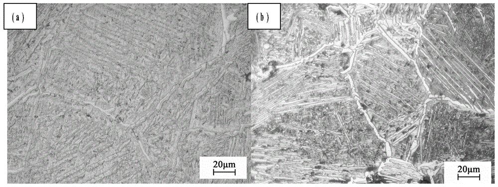 Ti-Nb-O memory alloy having high recoverable strain and preparation method thereof