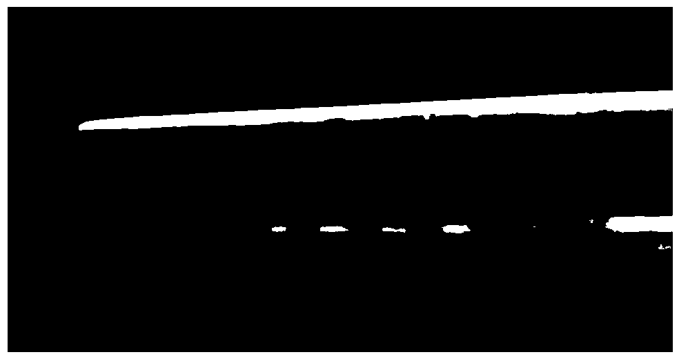 High-violacein-yield Janthinobacterium lividum and application thereof