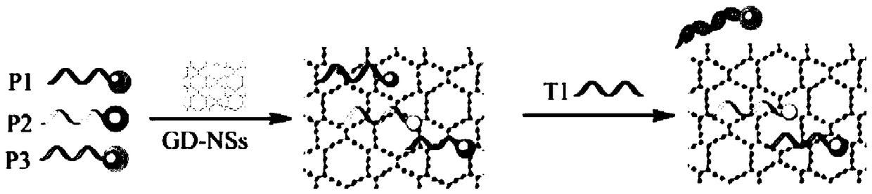 Non-diagnostic applications of two-dimensional graphdiyne materials for fluorescence detection of biomarkers