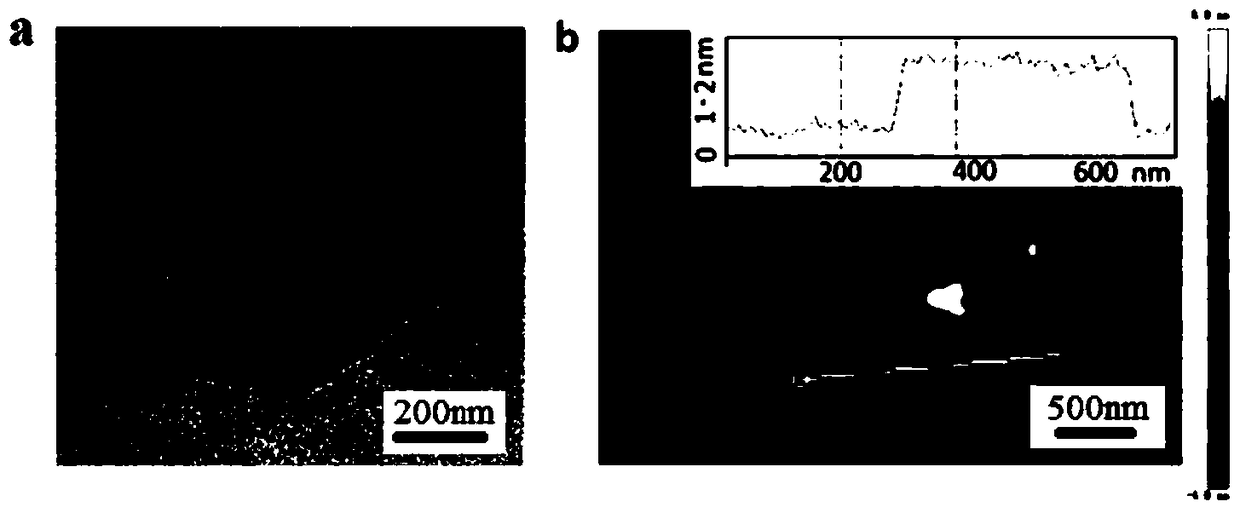 Non-diagnostic applications of two-dimensional graphdiyne materials for fluorescence detection of biomarkers