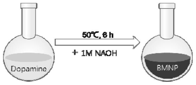 Application of BMNP in protecting intestinal tract from ionizing radiation injury