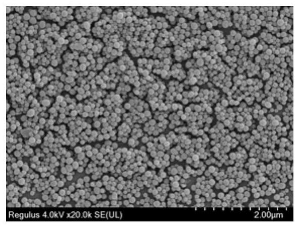 Application of BMNP in protecting intestinal tract from ionizing radiation injury