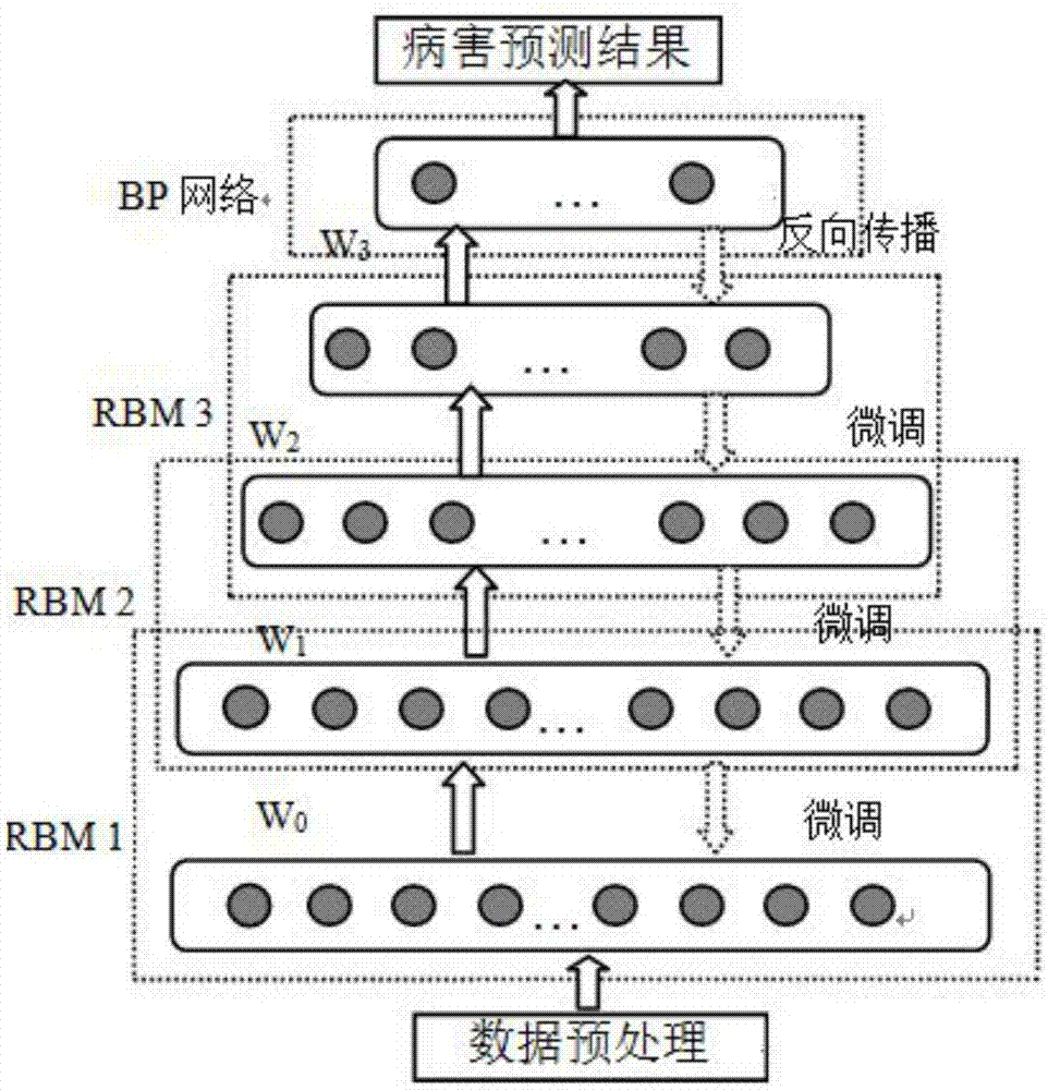 Greenhouse winter jujube disease prediction model based on agricultural Internet of Things and depth belief network