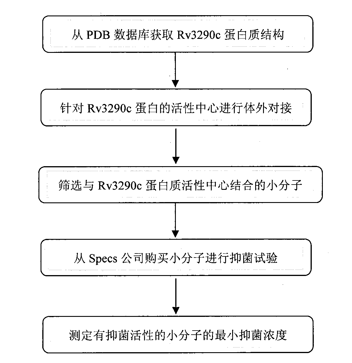 Target gene Rv3290c for screening antituberculous inhibitor and application