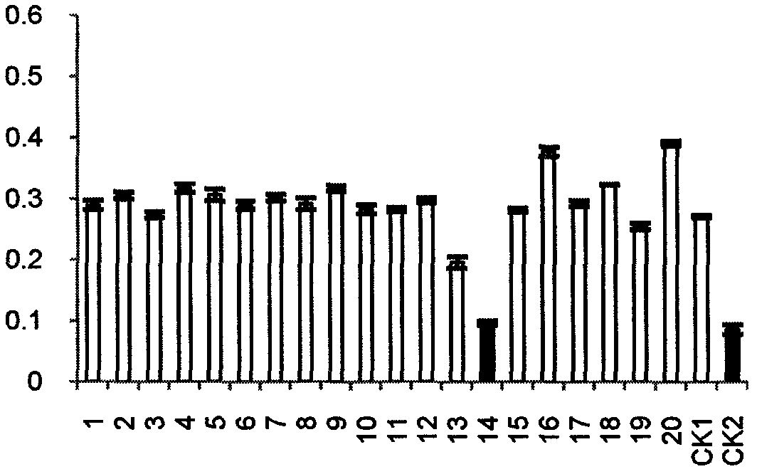 Target gene Rv3290c for screening antituberculous inhibitor and application