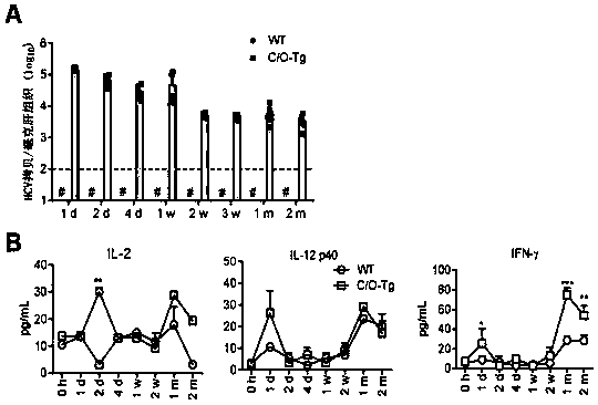 Method for treating infectious diseases by NK (natural killer) targeted immune checkpoints