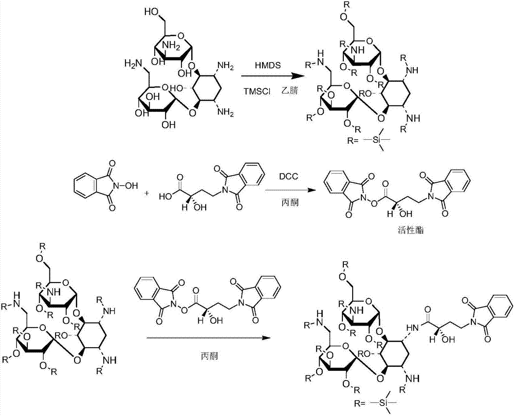 Synthesis method of amikacin