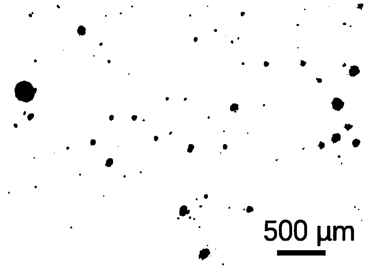 Ceramic metal composite foam material and preparation method thereof