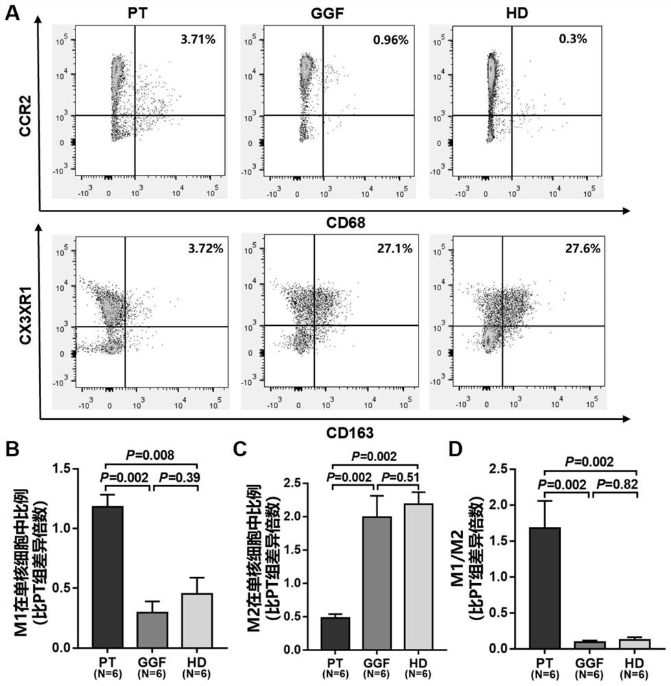 Macrophage polarization regulator and application thereof in promoting platelet generation