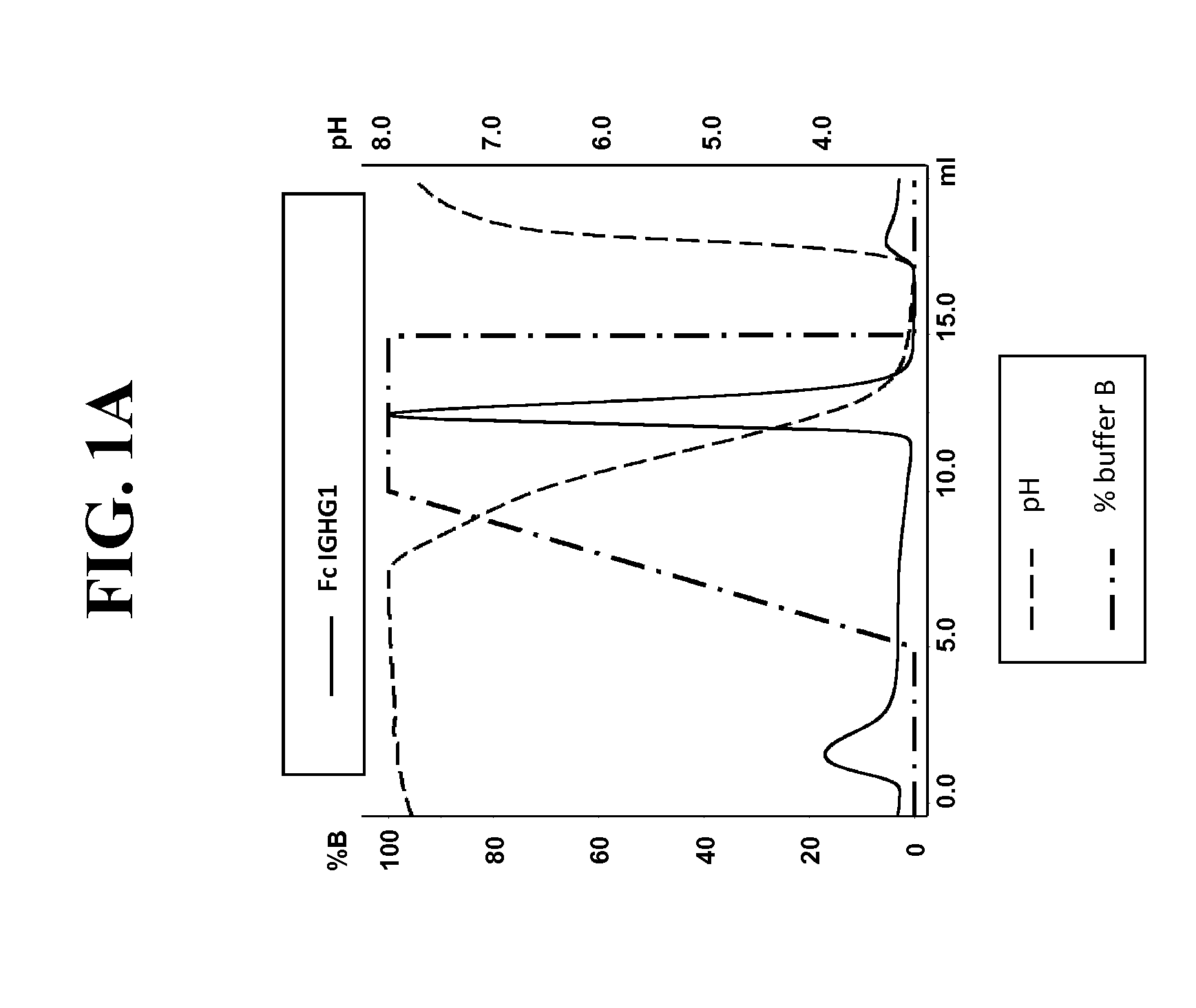 Purification of hetero-dimeric immunoglobulins