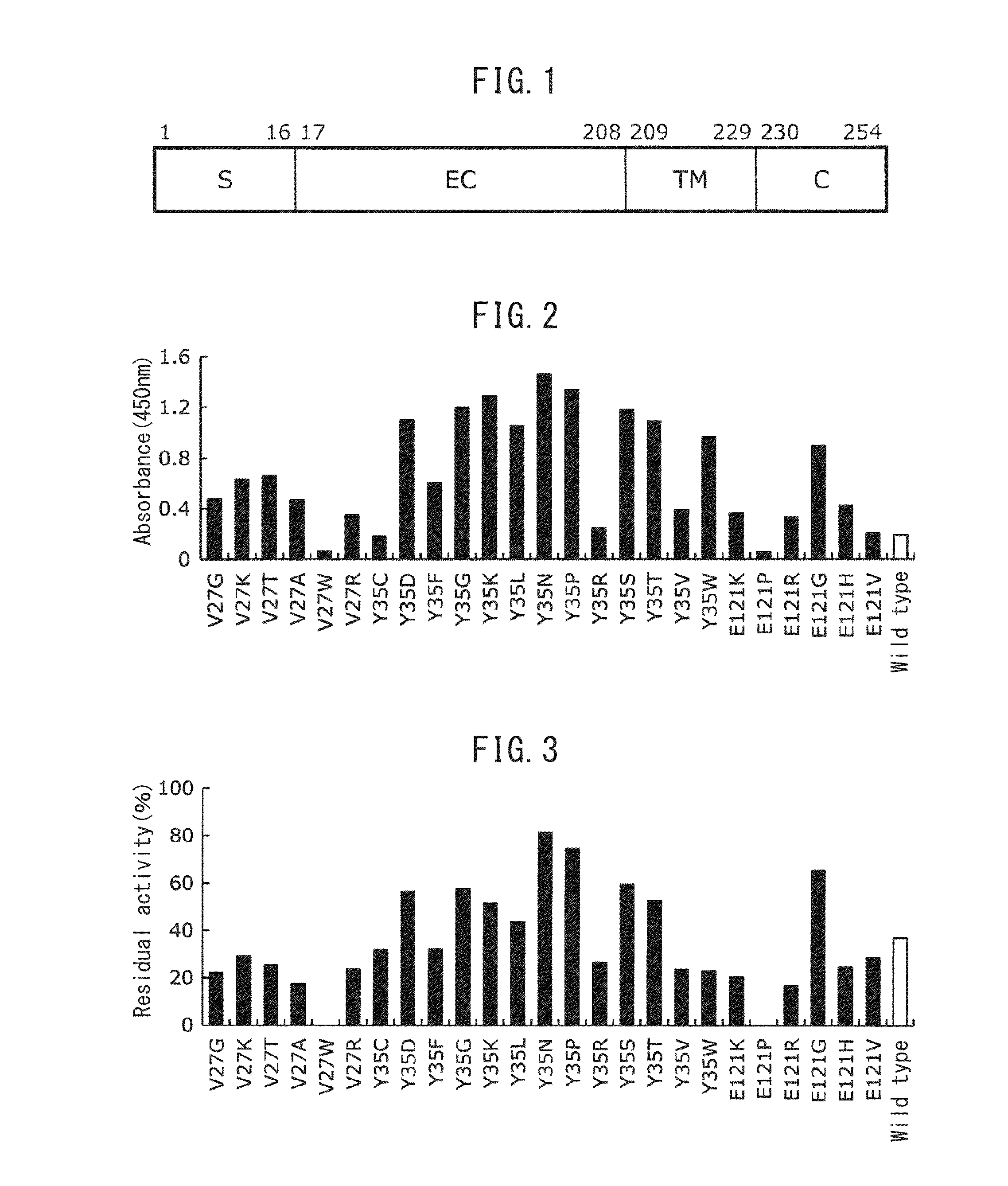 Fc-BINDING PROTEIN, METHOD FOR PRODUCING SAID PROTEIN, AND ANTIBODY ADSORBENT USING SAID PROTEIN, AND METHODS FOR PURIFYING AND IDENTIFYING ANTIBODY USING SAID ADSORBENT