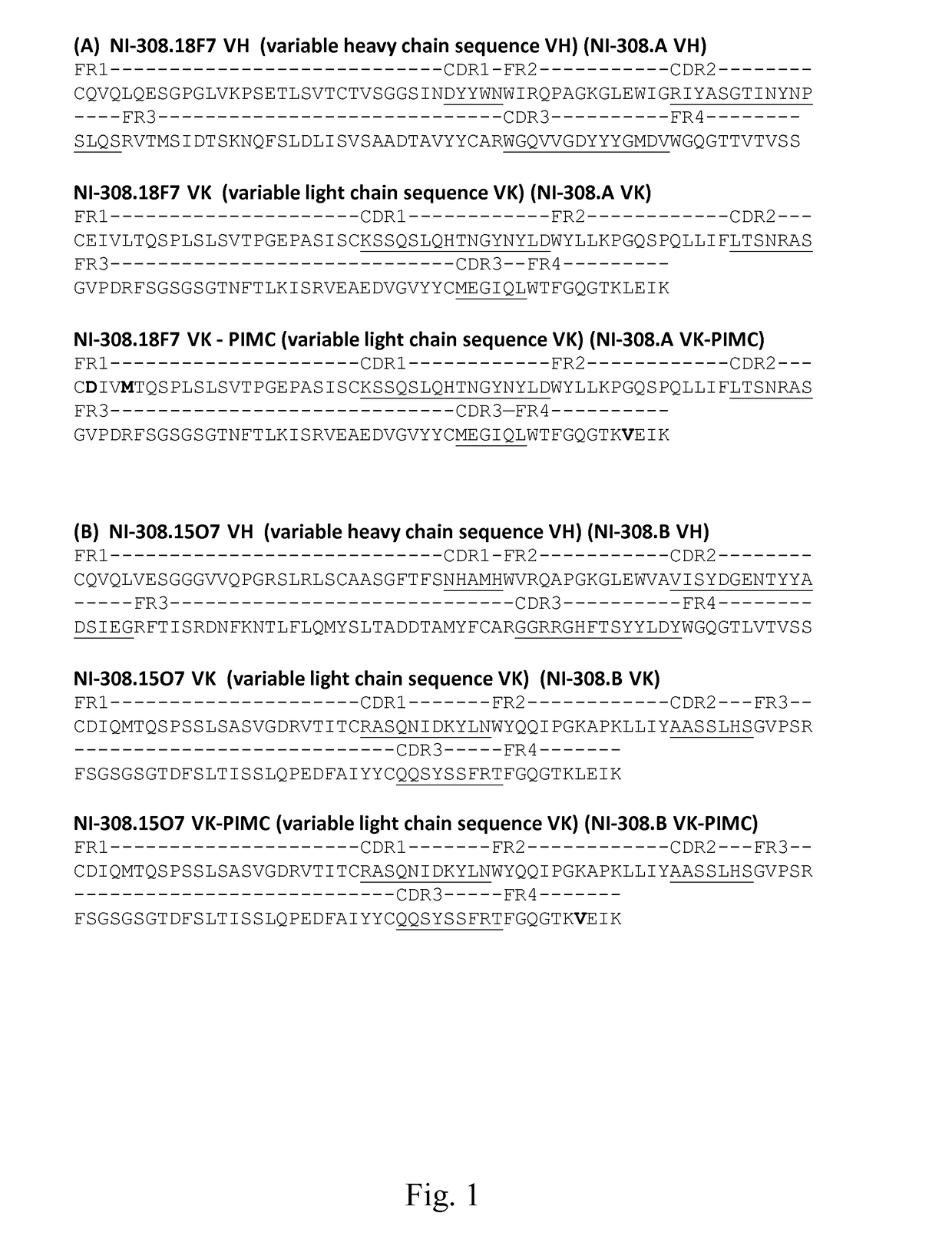 Human-derived Anti-dipeptide repeats (DPRS) antibody