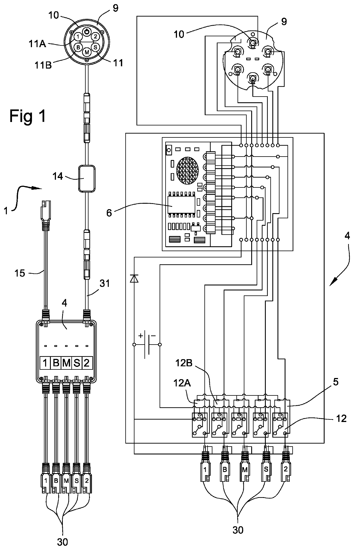 Electrical distribution system for personal water craft