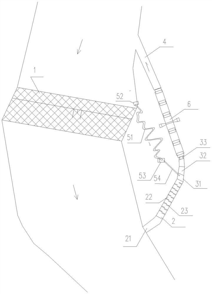 Fish passing system with tourism viewing function and fish passing method