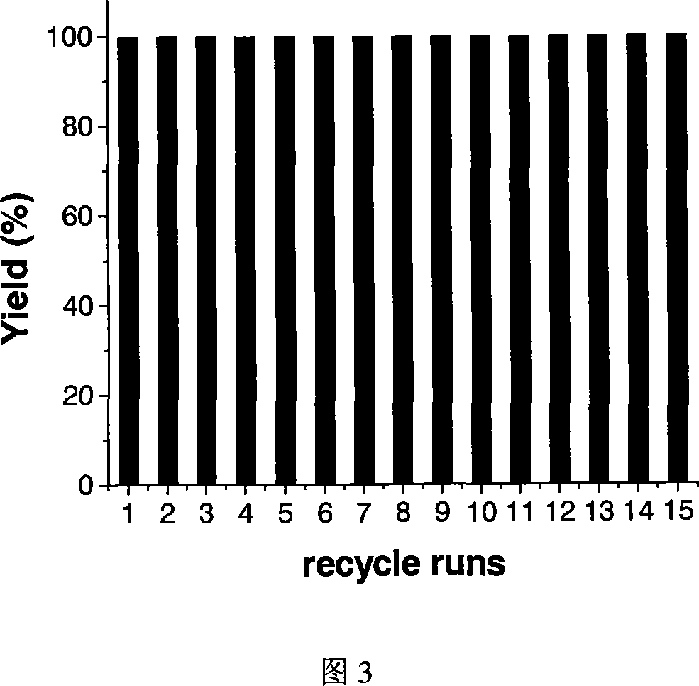 Solid carried ion liquid-nanometer metal particle catalyst, and its preparing method, and application in synthesis of arylamine