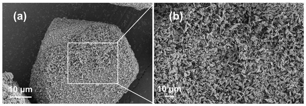 Composite solid propellant based on multi-scale modified nitramine oxidant and preparation method