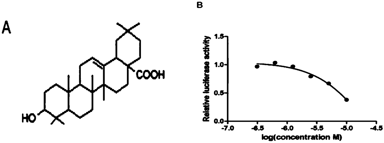 Application of oleanolic acid in preparation of drugs for treatment of autoimmune diseases