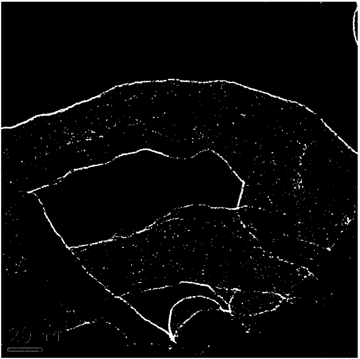 Preparation method of nitrogen, sulfur and phosphorus heteroatom-doped carbon material