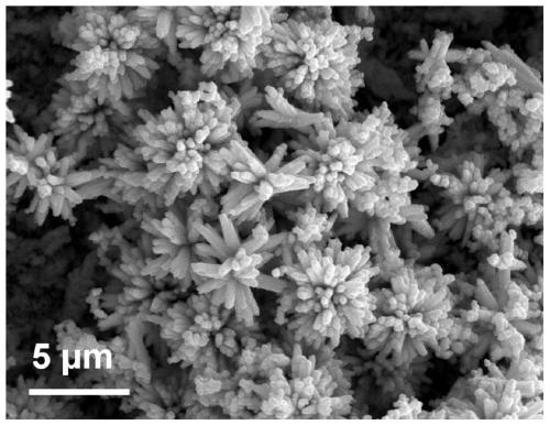 Novel oxygen evolution electrocatalyst as well as preparation method and application thereof