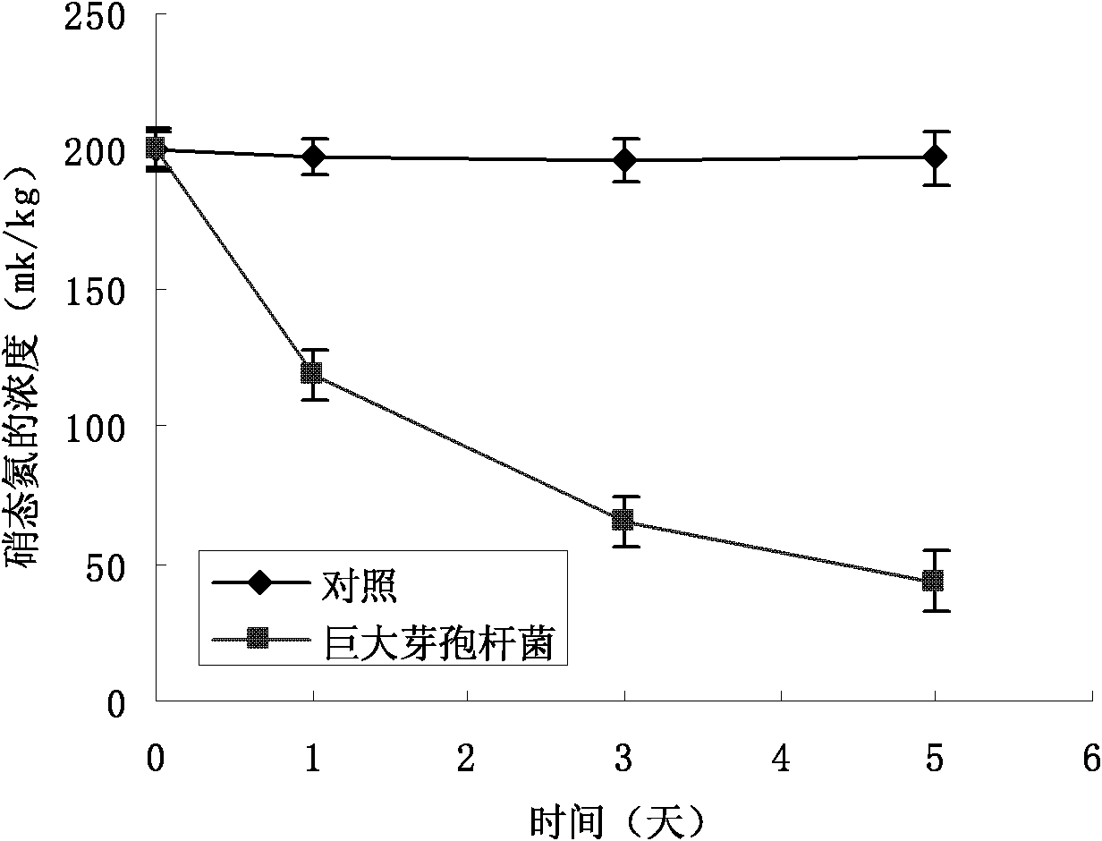 Assimilated nitrate nitrogen strain and application thereof