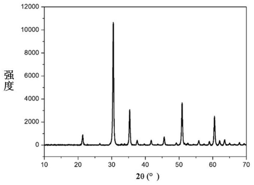 Positive electrode and electrochemical device and electronic device containing same