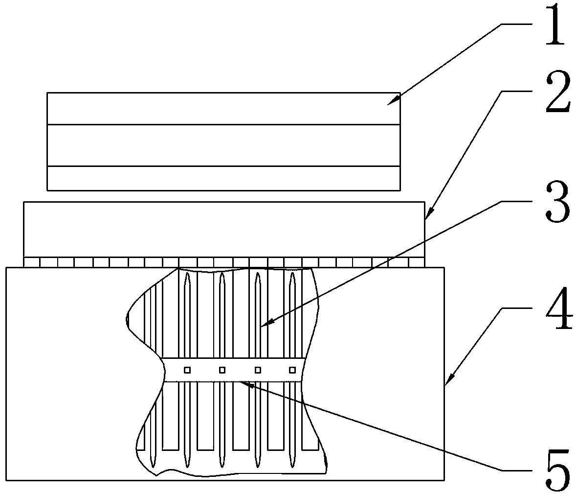 Papaya Directional Conveying Slicer