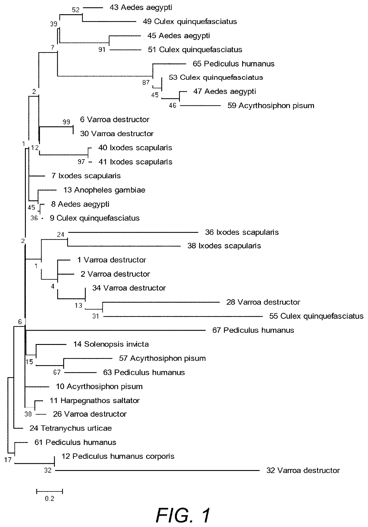 Compositions and methods for controlling arthropod parasite and pest infestations