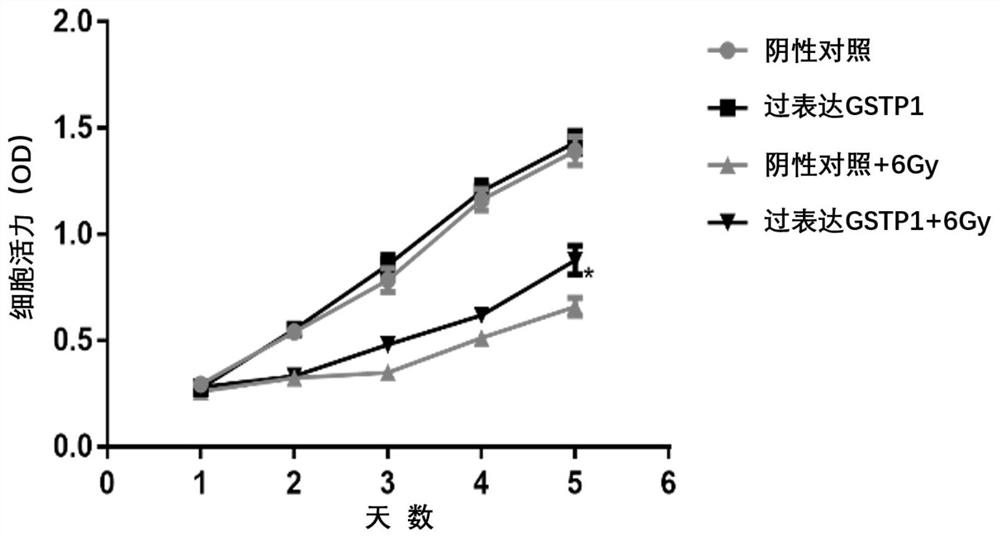 Application of excited GSTP1 gene in medicine for preventing radioactive lung injury