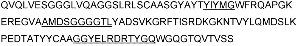 Antigenic epitope displaying method based on single domain antibody