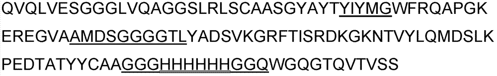 Antigenic epitope displaying method based on single domain antibody