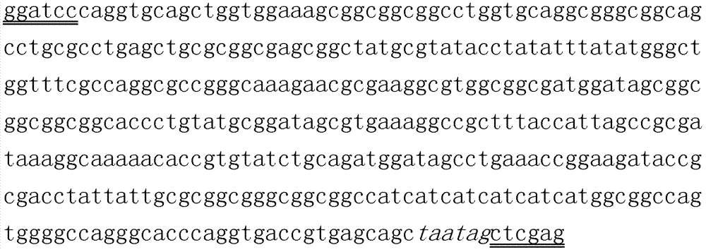 Antigenic epitope displaying method based on single domain antibody