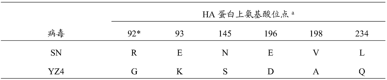 Vaccine strain rSN-R92G-E93K, construction method and applications thereof