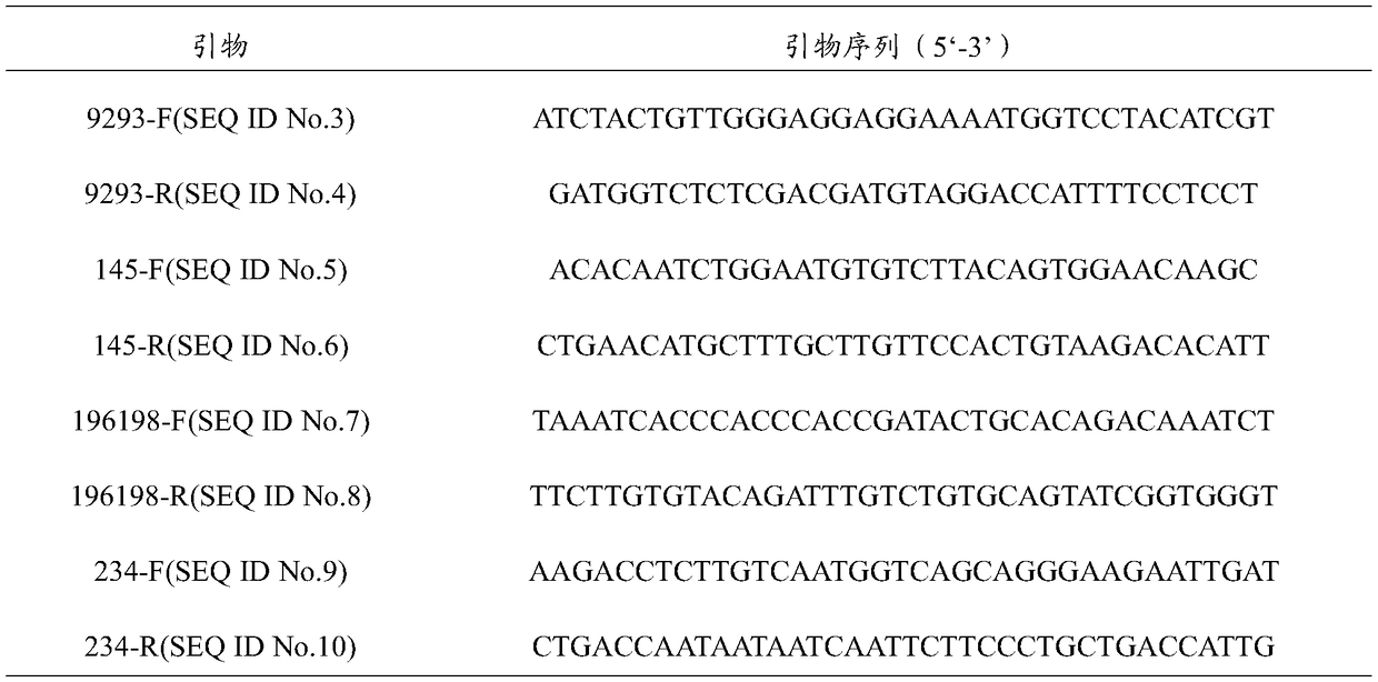 Vaccine strain rSN-R92G-E93K, construction method and applications thereof