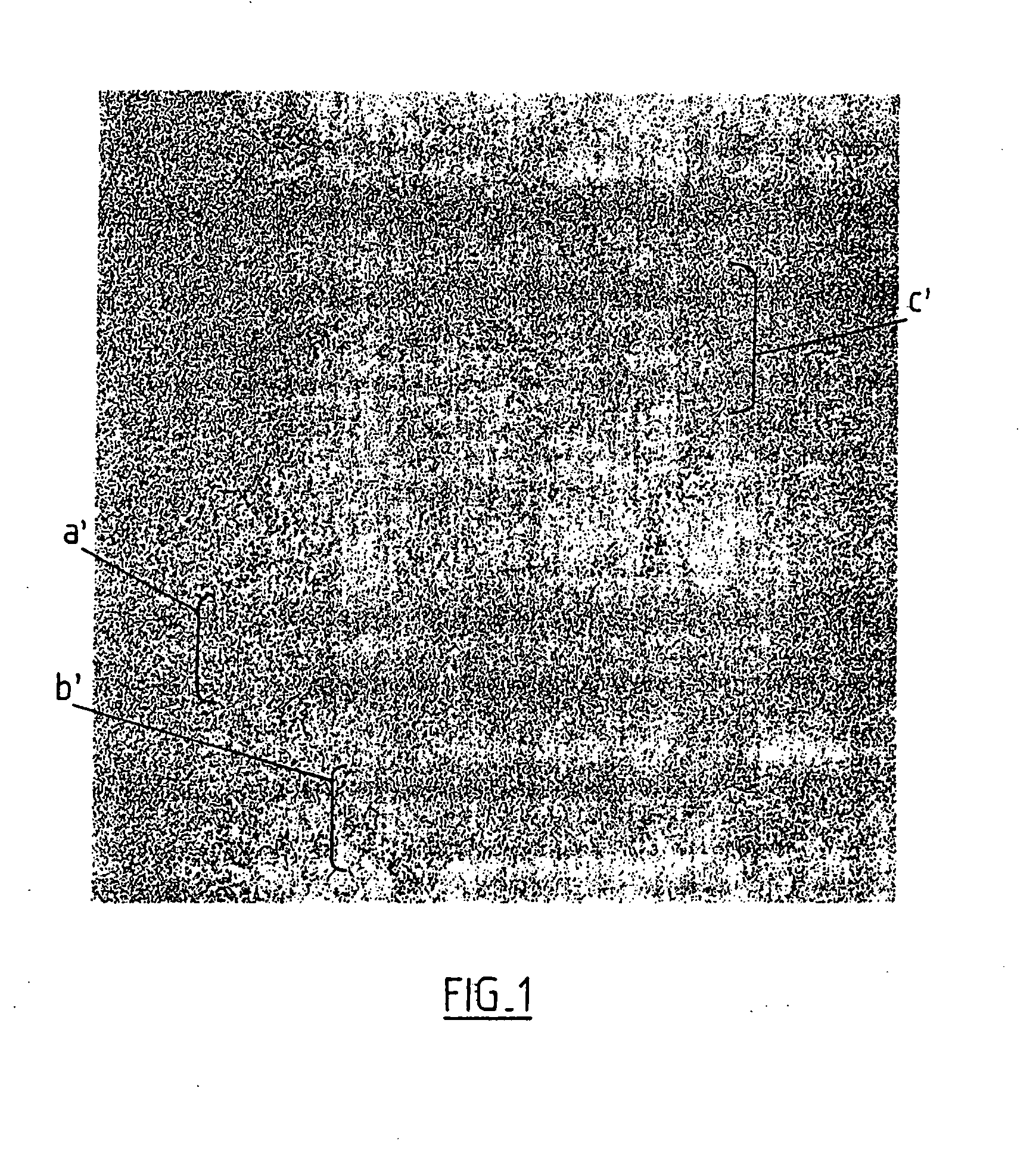 Method for Processing Images Using Automatic Georeferencing of Images Derived from a Pair of Images Captured in the Same Focal Plane