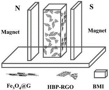 Oriented graphene/bismaleimide multilevel composite material and preparation method thereof