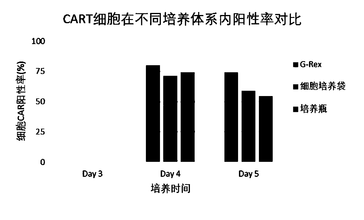 Method for preparing chimeric antigen receptor T cells through serum-free culture