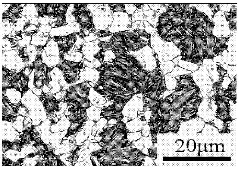 Production method of graphitized free-machining steel