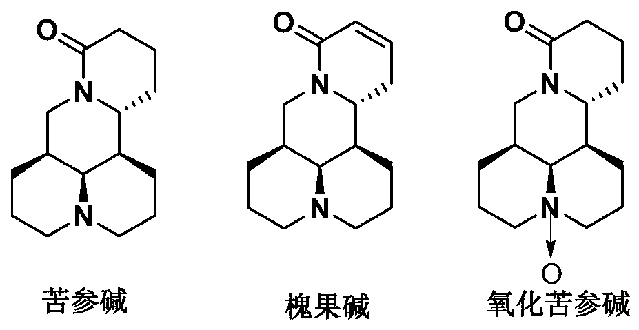 Application of a group of thiomatrine derivatives and their salts in the preparation of anti-osteoporosis drugs