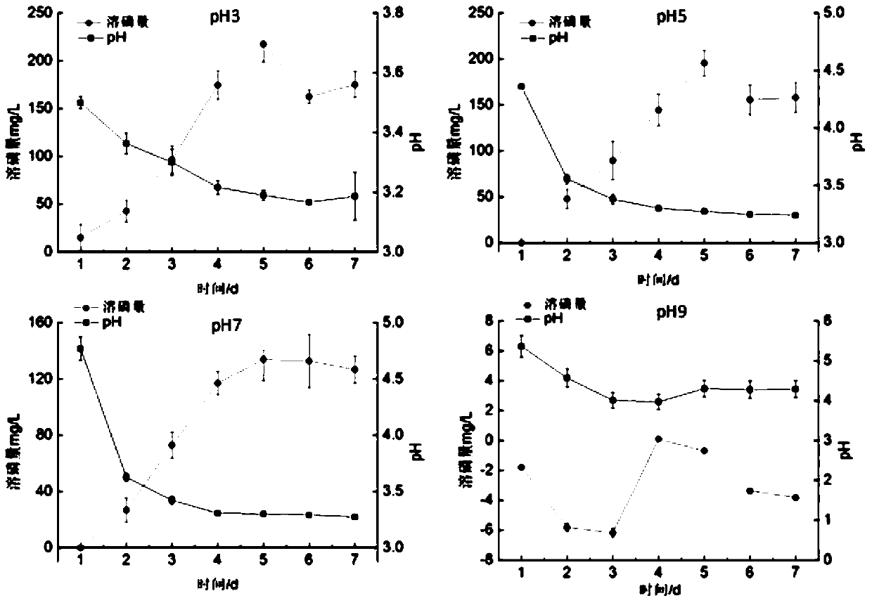 A strain of Penicillium lavender that decomposes insoluble aluminum phosphate in acidic soil and its application