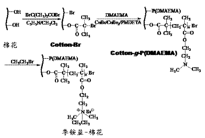 Adsorbent for removing PFOS and PFOA in water and preparation method thereof