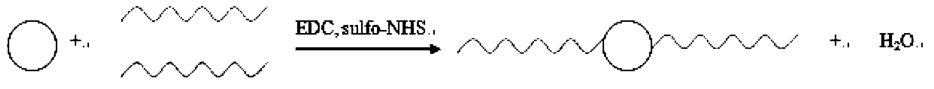 Preparation method of fluorescence resonance system for rapid detection of ATP in mitochondria