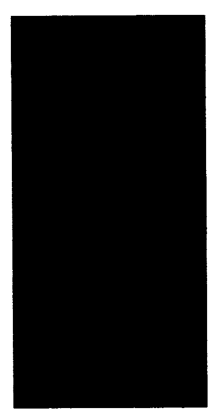 Preparation method for 3-(5-methoxy-1,5-dioxopenyl)-(4S)-phenyloxazolidin-2-one